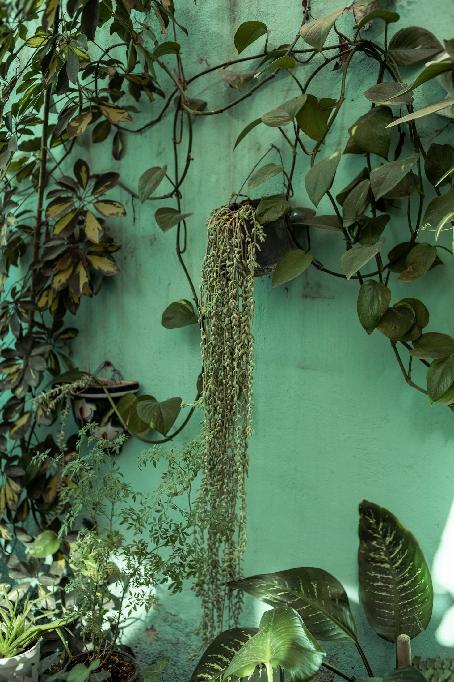 Accessori di Design che Trasformeranno il Tuo Giardino